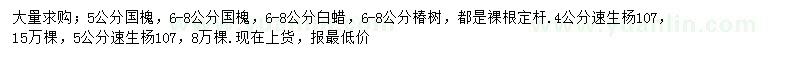 求購國槐、白蠟、椿樹等