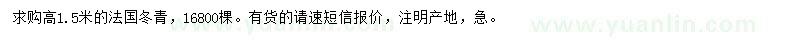 求購高1.5米法國冬青