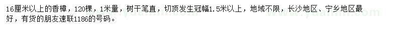 求購16公分以上香樟