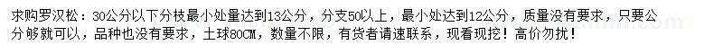 求購12、13公分羅漢松