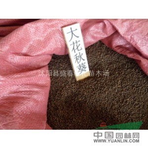 供應(yīng)草花種子：大花秋葵，小冠花種子，百麥根種子，紫茉莉種子等