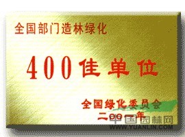 10公分國槐價格