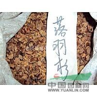 落羽杉種子（質(zhì)量優(yōu)、發(fā)芽率高）