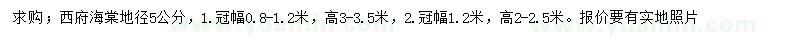 求購地徑5公分西府海棠