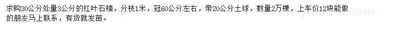 求購(gòu)30公分處量3公分紅葉石楠
