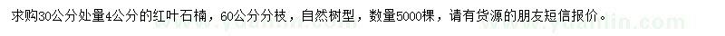 求購30公分處量4公分紅葉石楠