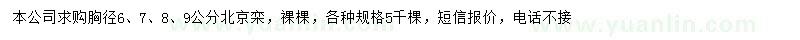 求購胸徑6、7、8、9公分北京欒