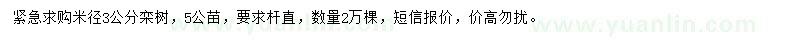 求購(gòu)米徑3公分欒樹