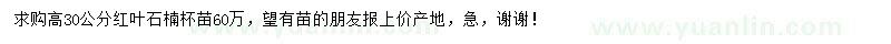 求購(gòu)高30公分紅葉石楠