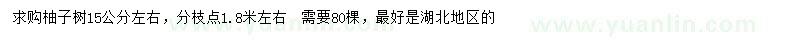 求購15公分左右柚子樹
