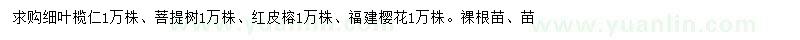 求購細葉欖仁、菩提樹、紅皮榕等