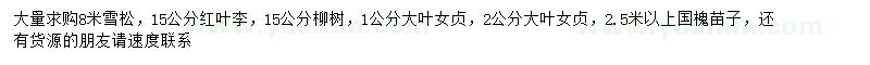 求購雪松、紅葉李、柳樹等