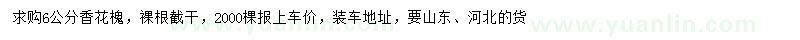 求購6公分香花槐