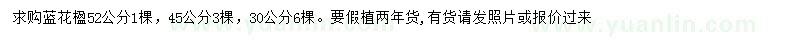 求購30、45、52公分藍(lán)花楹