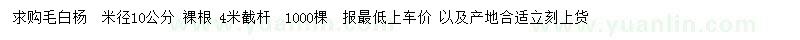 求購米徑10公分毛白楊