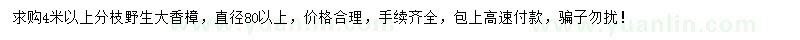求購4米以上香樟
