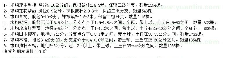求購速生刺槐、紅花紫薇、欒樹等