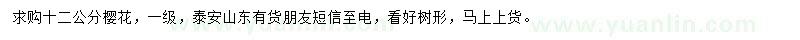 求購12公分櫻花