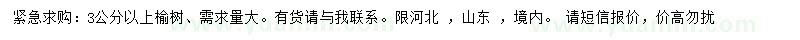 求購(gòu)3公分以上榆樹(shù)