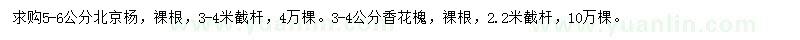求購5-6公分北京楊、3-4公分香花槐