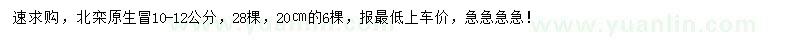 求購10-12、20公分北欒