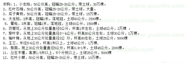 求購小龍柏、紅葉石楠、瓜子黃楊等