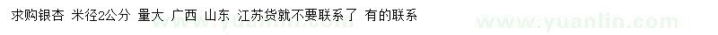 求購米徑2公分銀杏