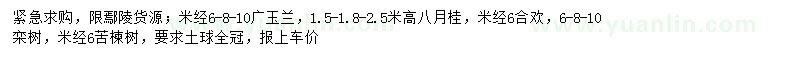 求購廣玉蘭、八月桂、合歡等