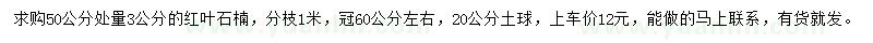 求購50公分處量3公分紅葉石楠
