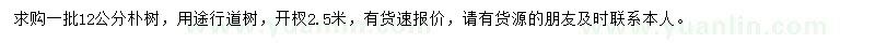 求購12公分樸樹