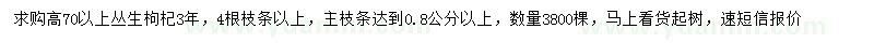 求購高70以上枸杞苗