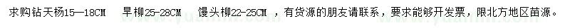 求購(gòu)鉆天楊、旱柳、饅頭柳