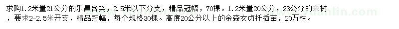 求購樂昌含笑、欒樹、金森女貞