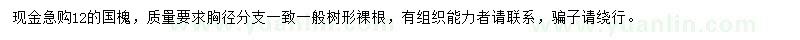 求購12公分國槐
