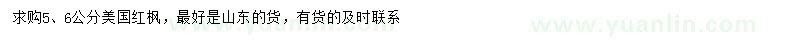 求購5、6公分美國紅楓