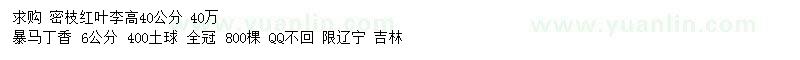 求購高40公分紅葉李、6公分暴馬丁香