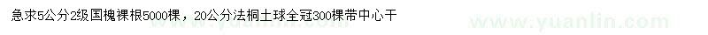 求購5公分國槐、20公分法桐