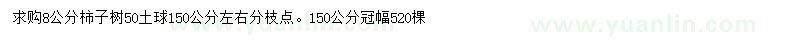求購8公分柿子樹