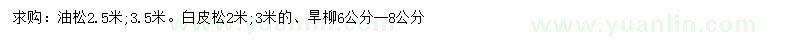 求購油松、白皮松、旱柳