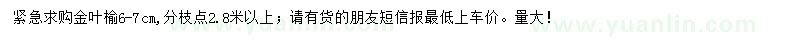 求購6-7公分金葉榆