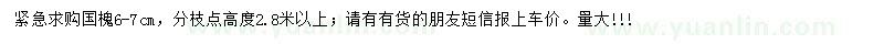 求購6-7公分國槐