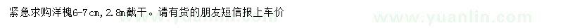 求購6-7公分洋槐