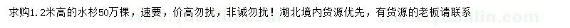 求購(gòu)高1.2米水杉