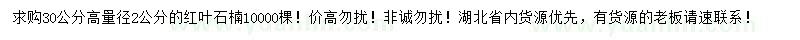 求購高30公分量徑2公分紅葉石楠