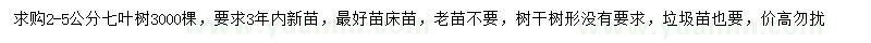 求購2-5公分七葉樹