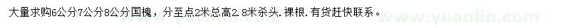 求購6、7、8公分國槐