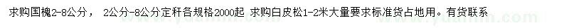 求購2-8公分國(guó)槐、1-2米白皮松