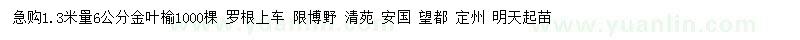 求購1.3米量6公分金葉榆