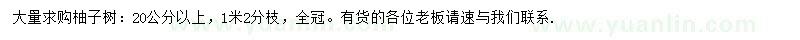 求購(gòu)20公分以上柚子樹