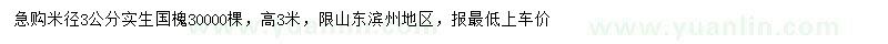 求購米徑3公分國槐